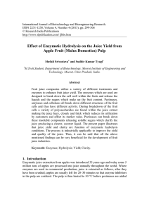 Effect of Enzymatic Hydrolysis on the Juice Yield from Apple Fruit