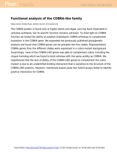 Functional analysis of the COBRA-like family