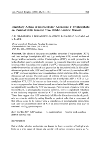 Inhibitory Action of Extracellular Adenosine 5`
