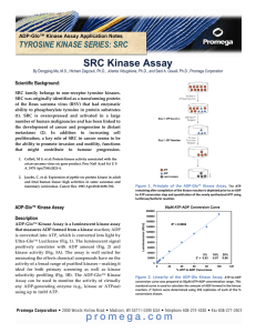 SRC Kinase Assay