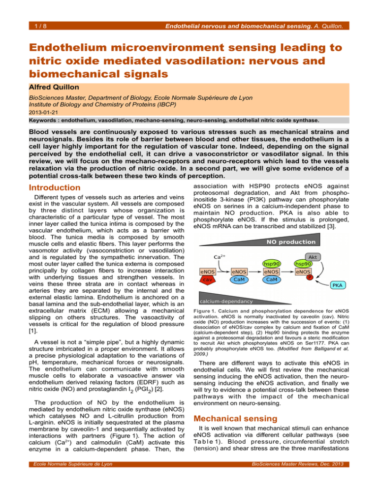 In Pdf D Partement De Biologie