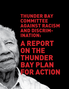 a report on the thunder bay plan for action