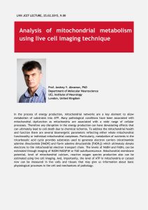 Analysis of mitochondrial metabolism using live cell imaging