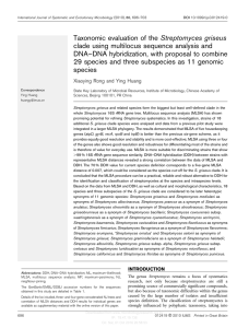 Taxonomic evaluation of the Streptomyces griseus clade using
