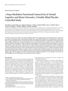 L-Dopa Modulates Functional Connectivity in Striatal
