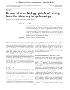 Human telomere biology: pitfalls of moving from the