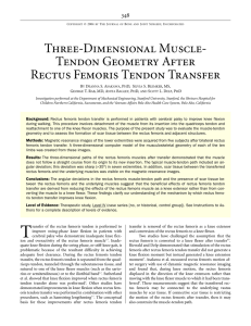 Three-Dimensional Muscle- Tendon Geometry After Rectus