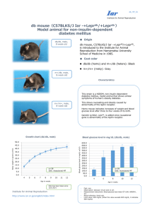 db mouse（C57BLKS/J Iar -+Leprdb/+Leprdb ） Model animal for non