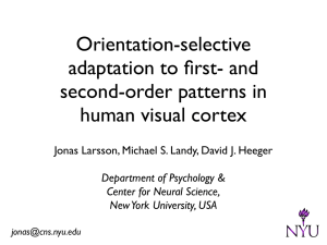 Orientation-selective adaptation to first- and second