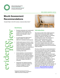 Mould Assessment Recommendations