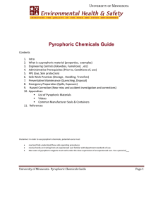 Pyrophoric Chemicals Guide - the Department of Environmental