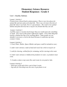 Elementary Science Assessment Resource