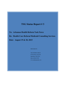 TSG Status Report # 3