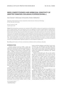 weed competitiveness and herbicidal sensitivity of grafted tomatoes