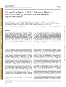 Fast and Slow Gating of CLC-1 - Molecular Pharmacology