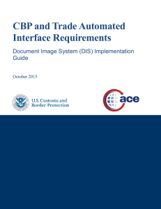 CBP DIS Implementation Guide