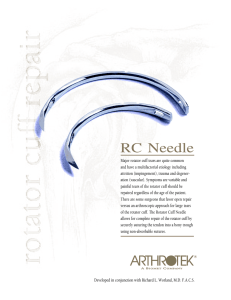 rc needle flyer 1/00 v2