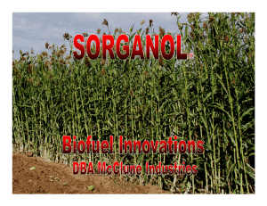 What is Sorganol? - Sweet Sorghum Ethanol Association