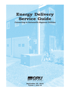 Energy Delivery Service Guide