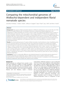 Comparing the mitochondrial genomes of Wolbachia