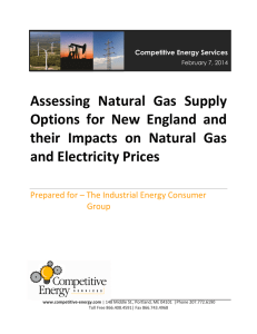 Assessing Natural Gas Supply Options for New