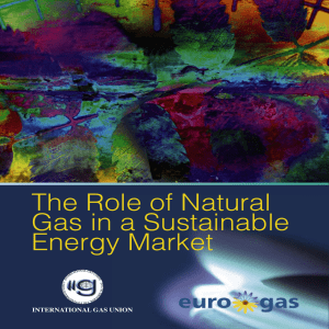 The Role of Natural Gas in a Sustainable Energy