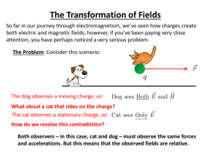 The Transformation of Fields