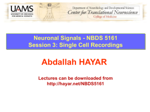Neuronal Signals