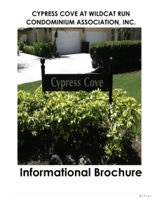 Cypress Cove Informational Brochure
