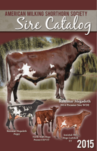 Sire Catalog - American Milking Shorthorn Society