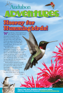 Hooray for Hummingbirds!