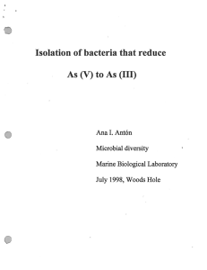Isolation of bacteria that reduce As (V) to As (III)
