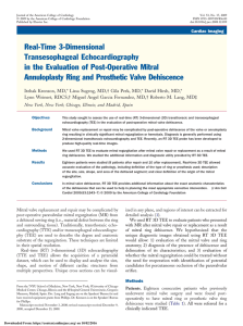 Real-Time 3-Dimensional Transesophageal Echocardiography in