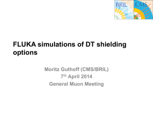 FLUKA simulations of DT shielding options - Indico