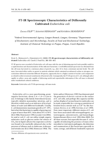 FT-IR Spectroscopic Characteristics of Differently Cultivated