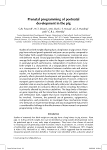 Prenatal programming of postnatal development in the pig