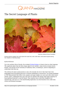 The Secret Language of Plants