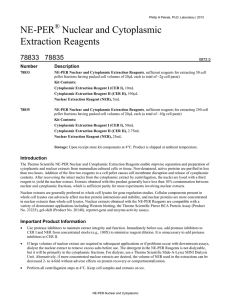 NE-PER Nuclear and Cytoplasmic Extraction Reagents
