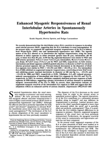 Enhanced Myogenic Responsiveness of Renal