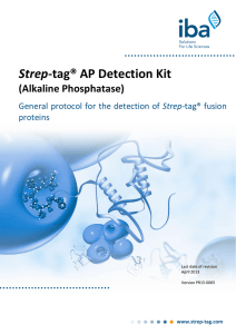 Strep-tag® AP Detection Kit