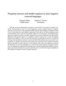 Fragment answers and double negation in strict negative concord