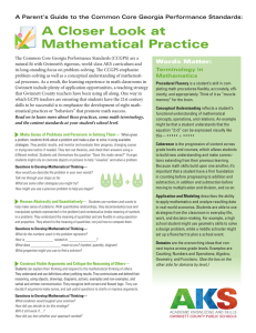 A Closer Look at Mathematical Practice