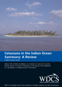 Cetaceans in the Indian Ocean Sanctuary: A Review