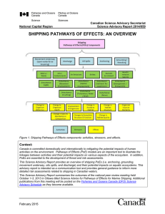 Pathways of Effects for Shipping: An Overview