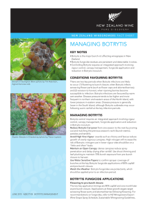 managing botrytis - New Zealand Wine