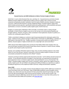 Nuseed Americas and ADM Collaborate to Deliver