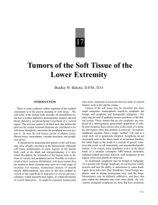 17 Tumors of the Soft Tissue of the Lower Extremity