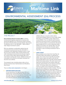 environmental assessment (ea) process