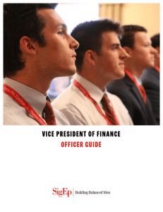 vice president of finance officer guide