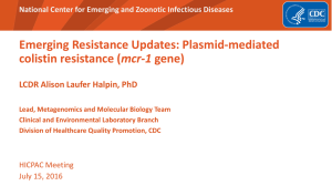 Emerging Resistance Updates: Plasmid